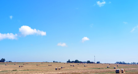 Summer at the countryside in the South of Sweden, SkÃ¥ne. Harvest is drying the old way on the field.