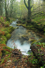 Trail along the Fraga River