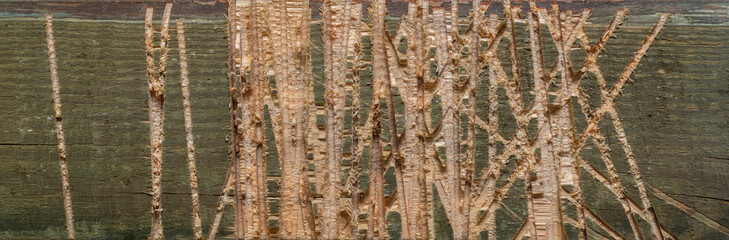  This is a vintage wooden background.