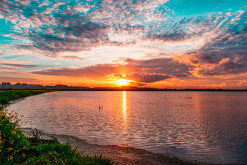 Obraz premium sunset over a rice field in Portugal