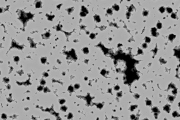 Holes in a wall made by gun shooting