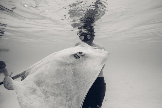 Man plays with stingray on holiday