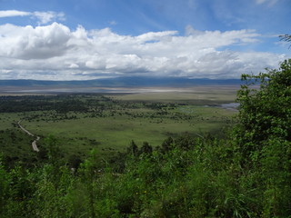 Obraz premium Ngorongoro crater view down into valley