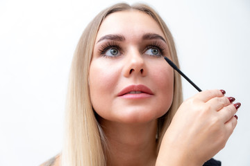 Fototapeta premium Woman mascara applying brush, female portrait makeup eyelashes