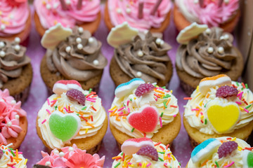 Colorful cup cakes in box