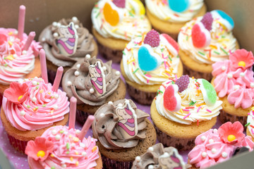Colorful cup cakes in box