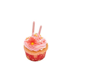 Cup Cake isolated on white background.