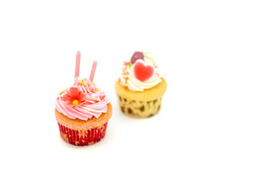 Cup Cake isolated on white background.