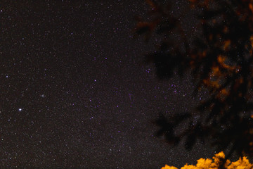 starry night sky with extremely clear conditions making a lot of constellations visible as well as some meteors or satellite trails shot from Tasmania