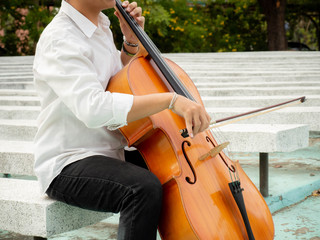 Musicians playing cello in the garden © thirawat