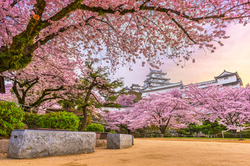 Himeji, Japan at Himeji Castle in Spring