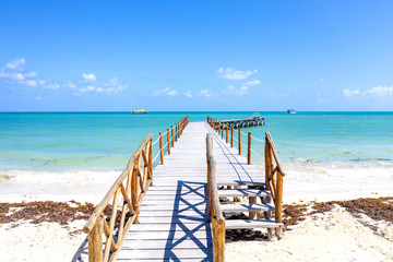 A walking path to paradise in a pristine Mexico beach. High drone point of view at early morning time.