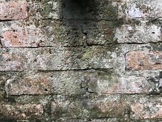 Obraz premium brick wall