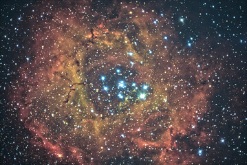 rosette nebula