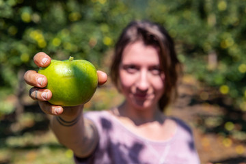 selective focus on ripe and fresh green apple fruit held by a happy caucasian woman standing...