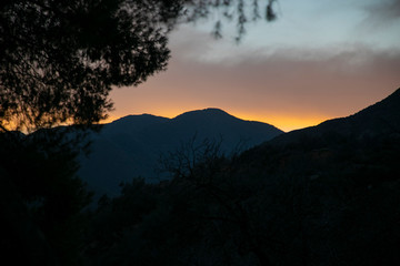 Obraz premium sunset in the mountains with tree in foreground