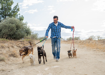 Smiling professional dog walker with dogs on leash walking in the park
