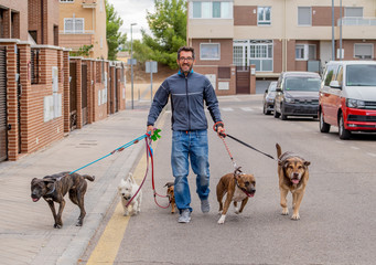 Smiling professional dog walker with dogs on leash on a walk in the city