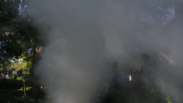 video of ray of light through the trees due to smoke &nbsp;&nbsp;