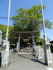 桜沢八幡大神社