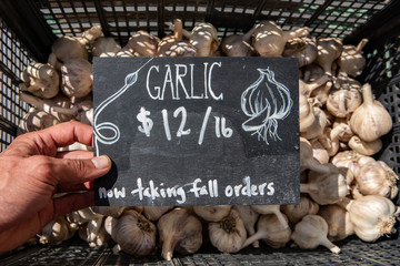 Hand written blackboard sign with the price of garlic at the local farmer's market. Real, fresh and...