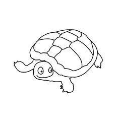 funny vector turtle. line drawing illustration. black and white mammal. animal logo. simple icon. baby doodle. cartoon character.