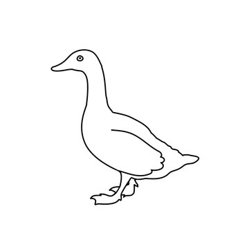 funny vector goose. line drawing illustration. black and white bird outline. simple icon. baby doodle. cartoon character.