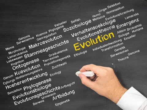 Evolution