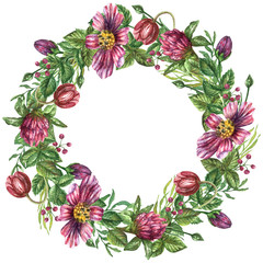 Watercolor wreath of wildflowers (chamomile, dog rose, clover) and leaves and herbs