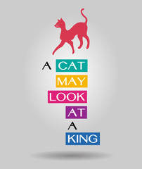 a-cat-may-look-at-a-king