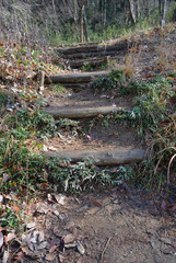 登山道の階段