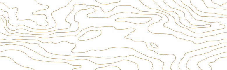 Seamless wooden pattern. Wood grain texture. Dense golden lines. Abstract white background. Vector illustration - 319357294
