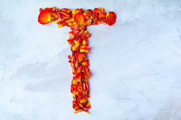 The letter of the English alphabet is lined with rose petals