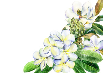 Obraz premium Bouquet of flowers, magnolia, branch of plumeria, frangipani with green leaves, hand drawn jungle illustration. Stock illustration, wedding invitations, greeting cards, postcards, save the date.