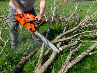 man cutting tree limbs with chain saw