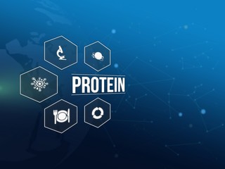 Protein
