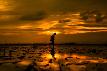 fisherman silhouette and sunset at the sea