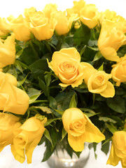黄色いバラの花