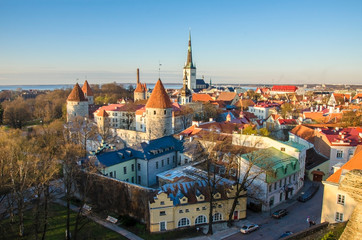 Fototapeta premium View from above of Tallinn towers. Top view of Tallinn city center from viewpoint.