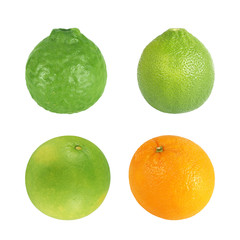 Fruit set of Grapefruit,Bergamot, Orange, Lemon isolated on white with clipping path