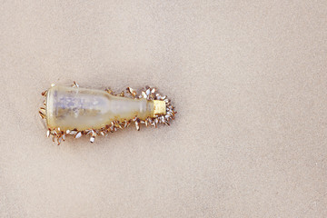 Old glass bottle overgrown with seashells on a sandy beach background