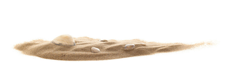 Isolated seashell on sand, white background - obrazy, fototapety, plakaty