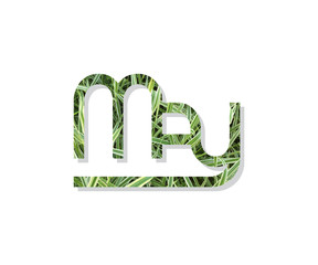 Geometric shape logo May with grass texture