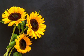 Bouquet of sunflowers on black background top-down copy space