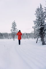 a girl in a bright orange warm jacket walks through deep white snow to a dense forest covered with snow in the Arctic Circle