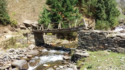 bridge in a forest in kashmir