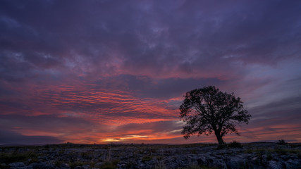 Fototapeta na wymiar Sunset over Ash Tree, Malham