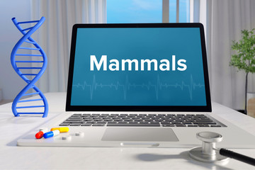 Mammals– Medicine/health. Computer in the office with term on the screen. Science/healthcare