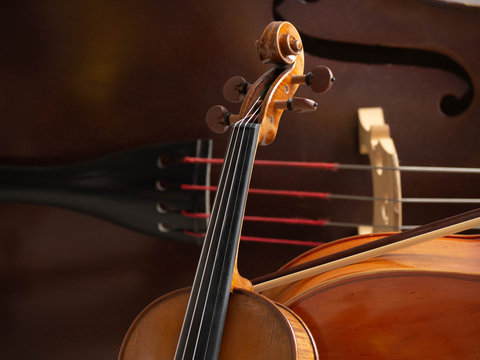 violin on black background