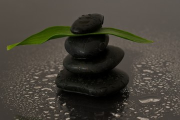 Obraz na płótnie Canvas Zen stones holding green leaf.